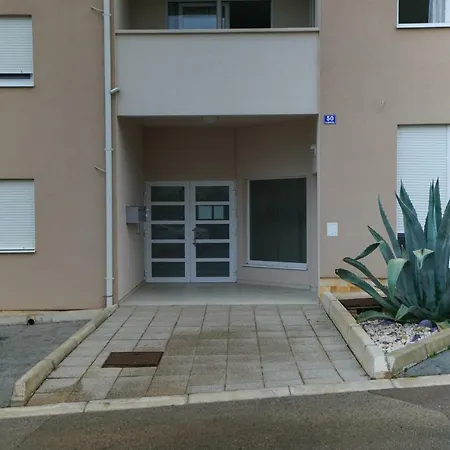 Reno * Zadar